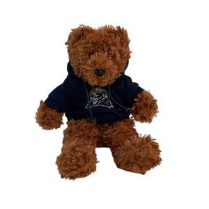 Team Bean Authentic Teddy Bear 9" Plush Blue Carolina Panther Hoodie